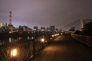 狩野川堤の夜景スポット写真（4）class=