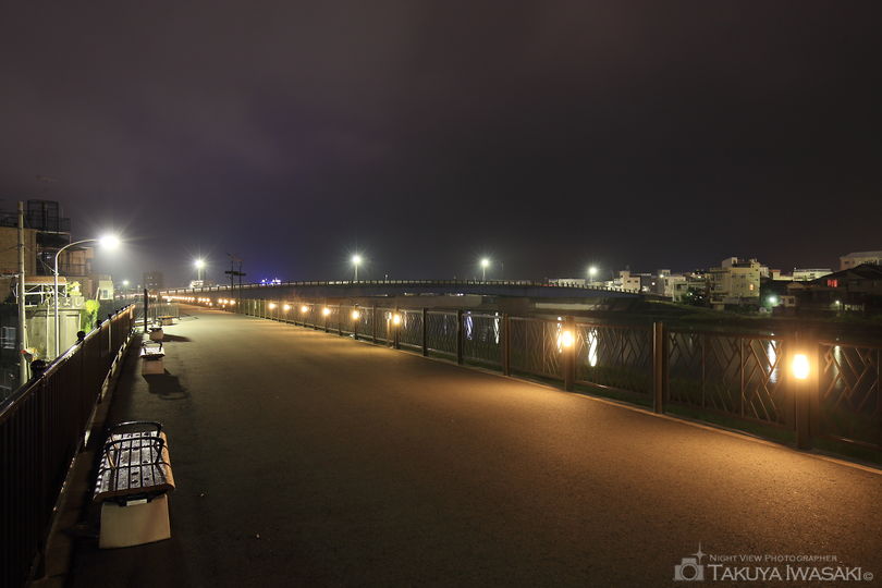 狩野川堤の夜景スポット写真（5）