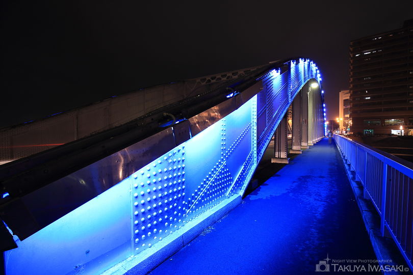 御成橋の夜景スポット写真（5）