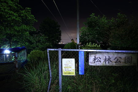 松林公園の夜景スポット写真（2）class=