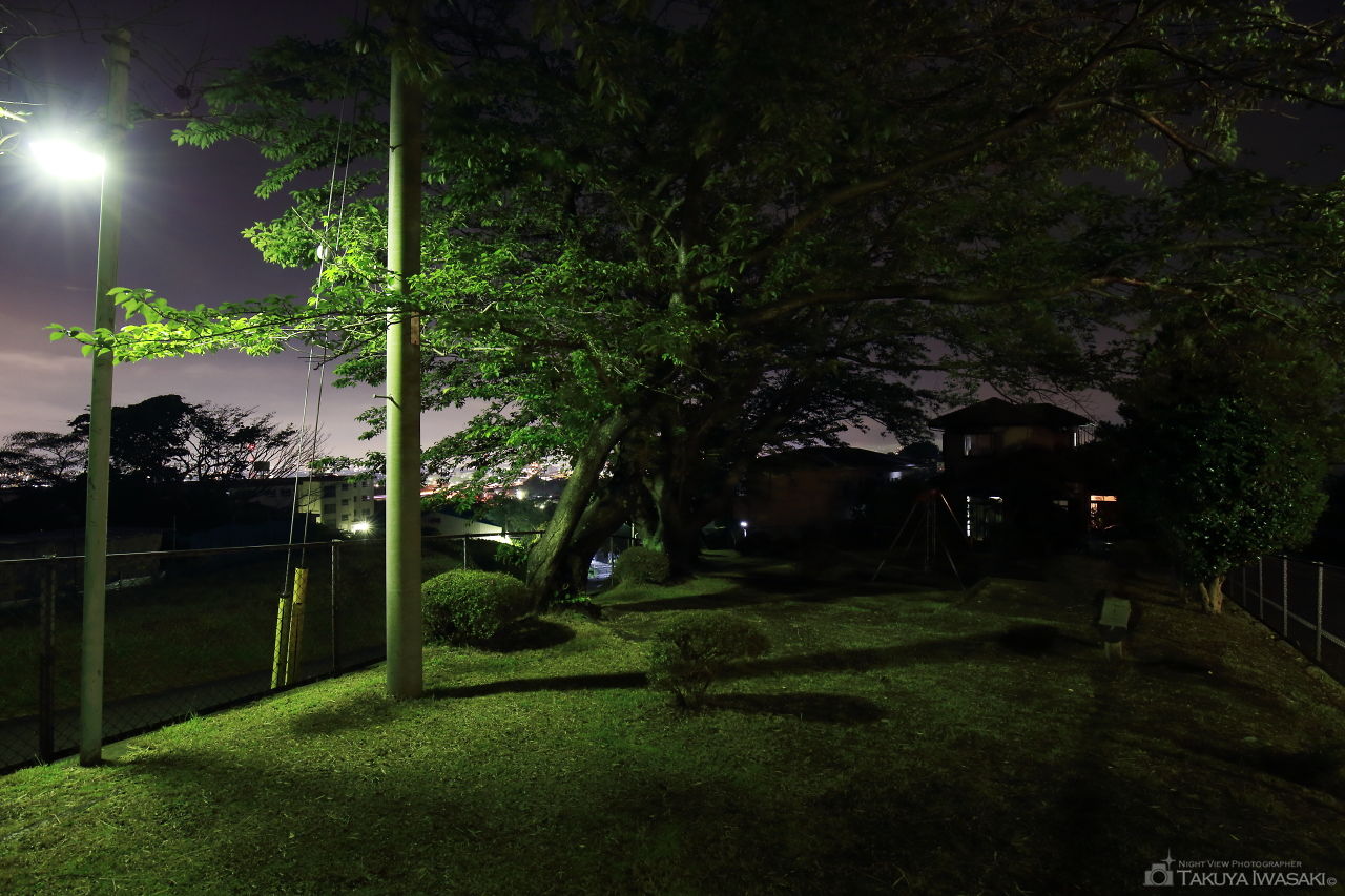 市の坂公園の夜景スポット写真（2）
