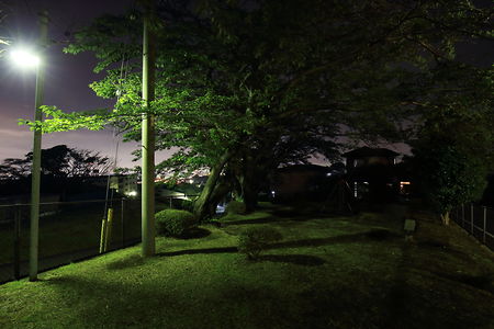 市の坂公園の夜景スポット写真（2）class=