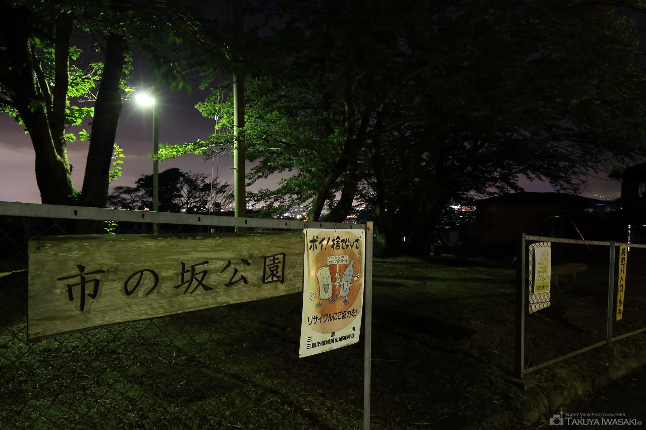 市の坂公園の夜景スポット写真（3）