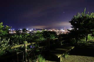 ベンチと沼津市の夜景