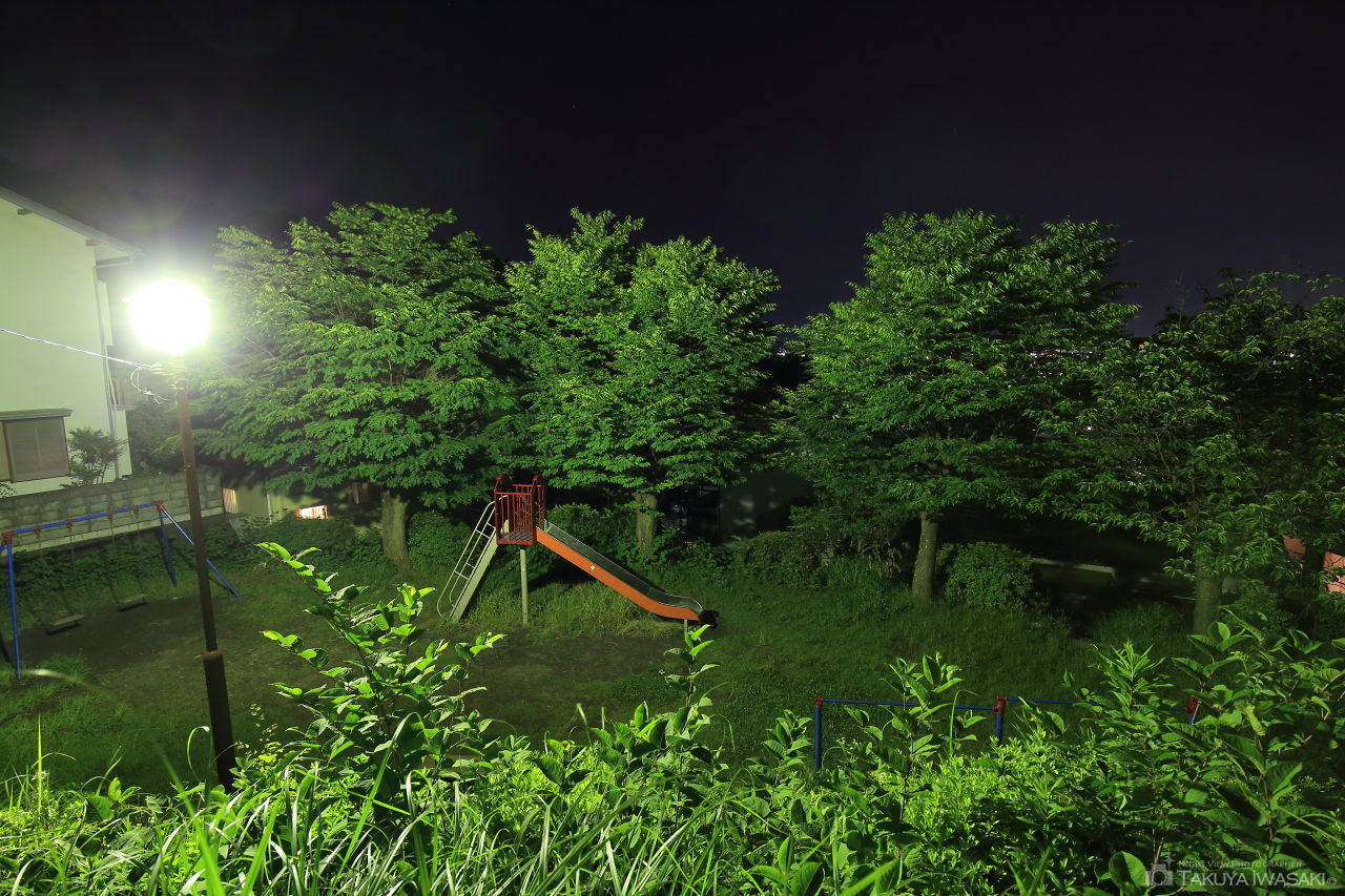 つつじ公園の夜景スポット写真（2）