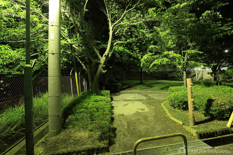 東壱町田みどり野公園の夜景スポット写真（4）