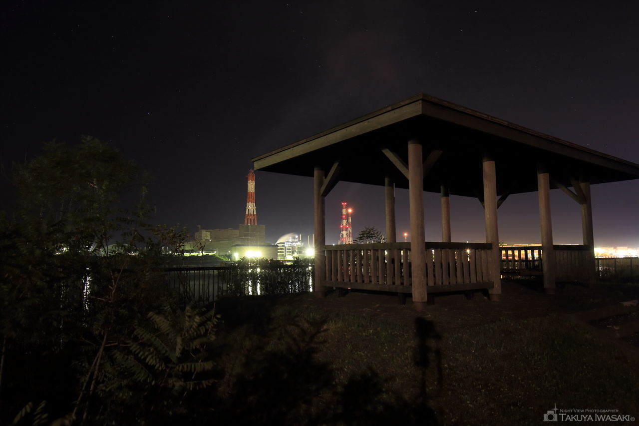 晴海公園の夜景スポット写真（5）