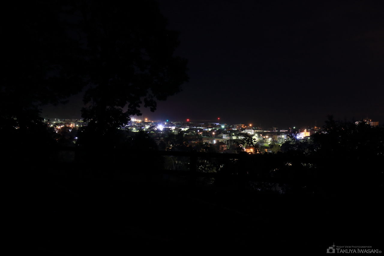 円山公園の夜景スポット写真（1）