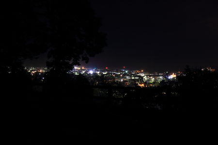 円山公園の夜景スポット写真（1）class=