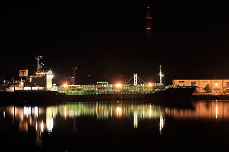 室蘭港フェリー埠頭の夜景スポット写真（2）class=