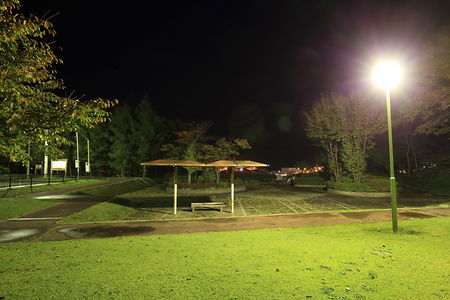 八太郎ヶ丘公園の夜景スポット写真（4）class=