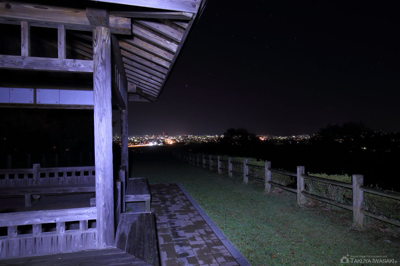 南部山健康運動公園の夜景スポット写真（2）