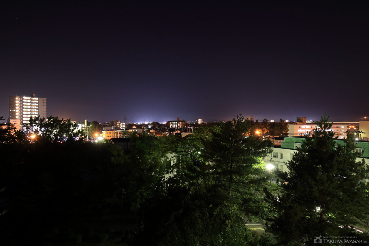 岩手公園の夜景スポット写真（1）