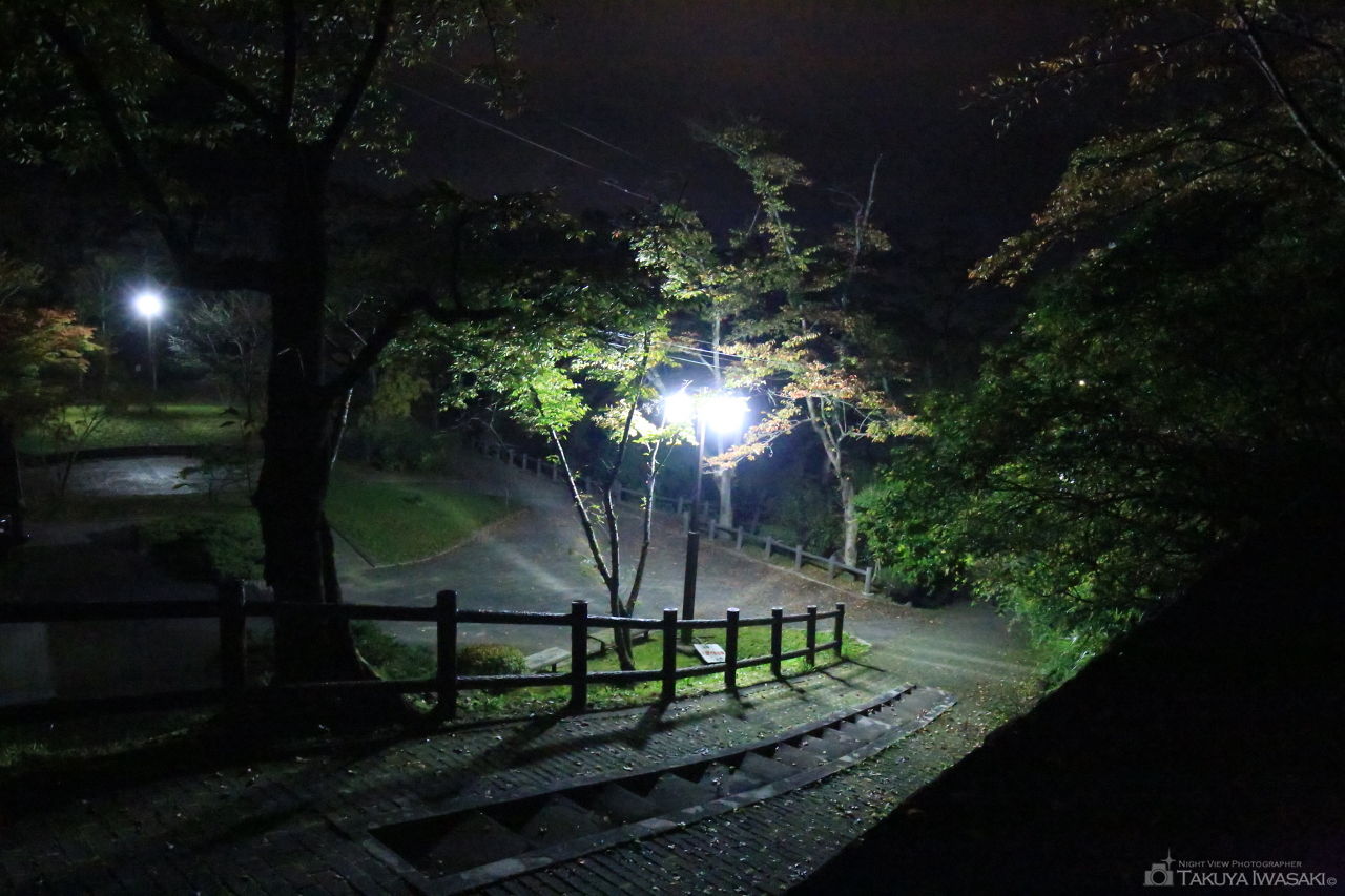 釣山公園の夜景スポット写真（3）
