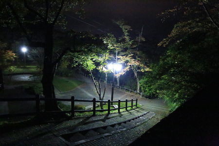 釣山公園の夜景スポット写真（3）class=