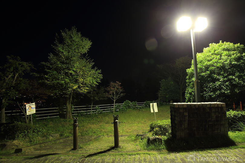 もみじ公園の夜景スポット写真（3）
