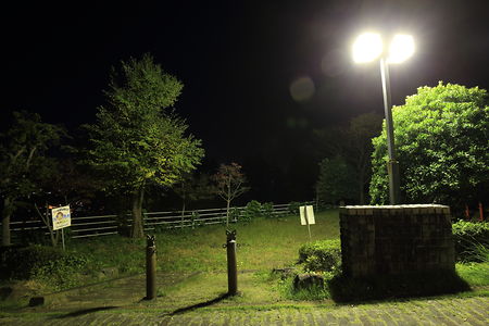 もみじ公園の夜景スポット写真（3）class=