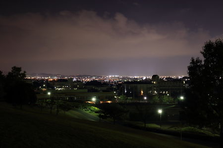 青葉公園の夜景スポット写真（1）class=