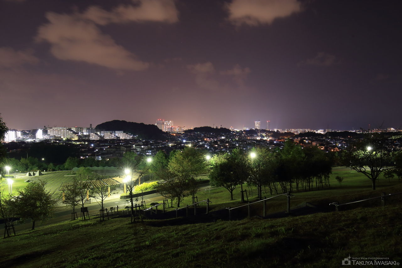 青葉公園の夜景スポット写真（2）