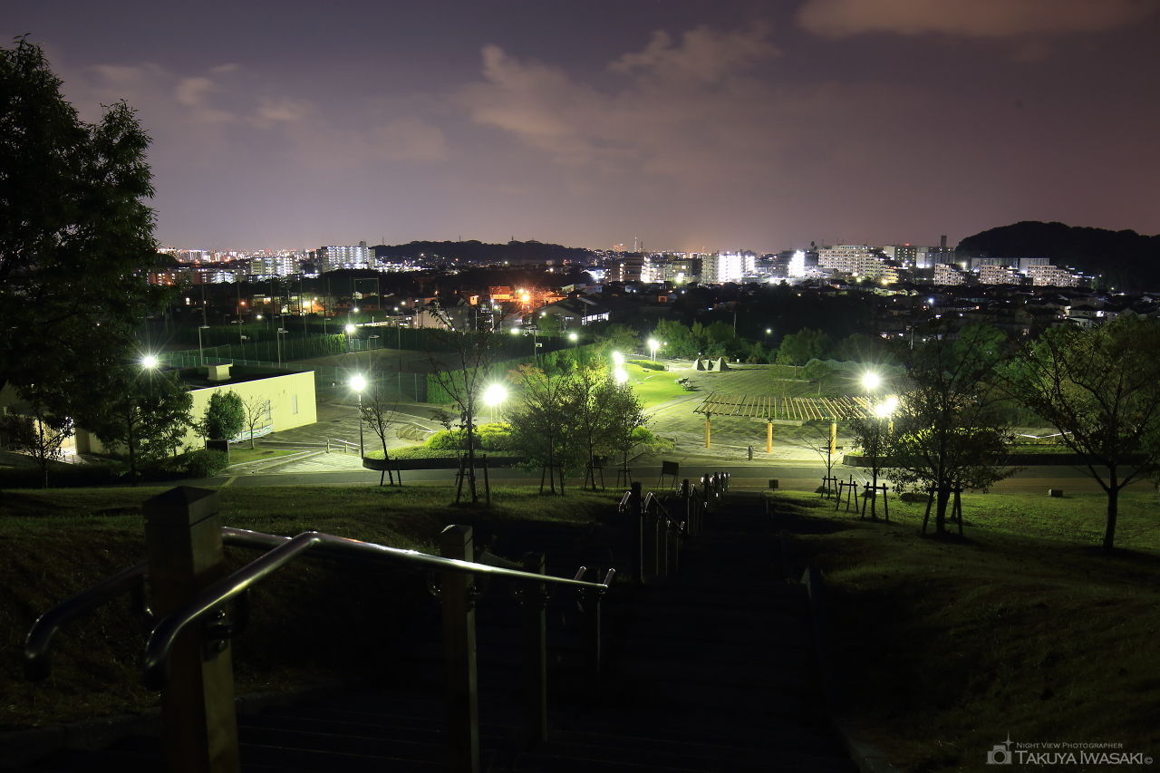 青葉公園の夜景スポット写真（3）