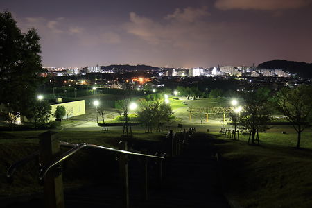 青葉公園の夜景スポット写真（3）class=