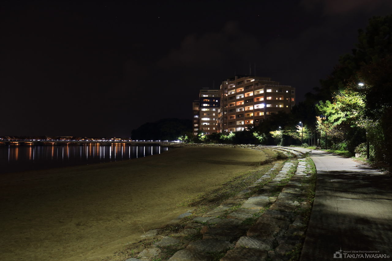 香椎海岸遊歩道の夜景スポット写真（3）