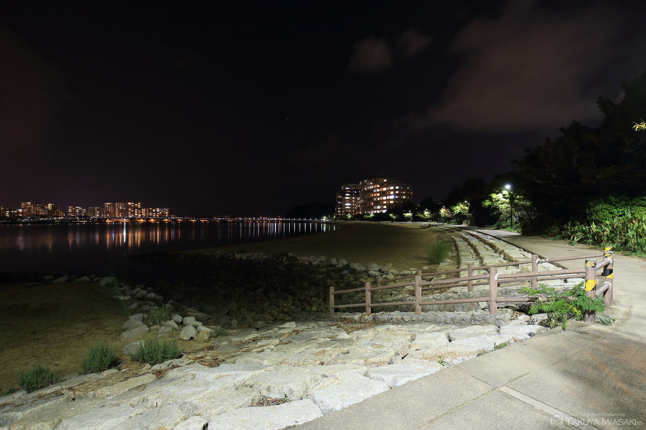 香椎海岸遊歩道の夜景スポット写真（4）