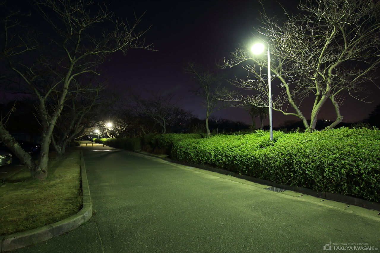 戦場ヶ原公園の夜景スポット写真（3）