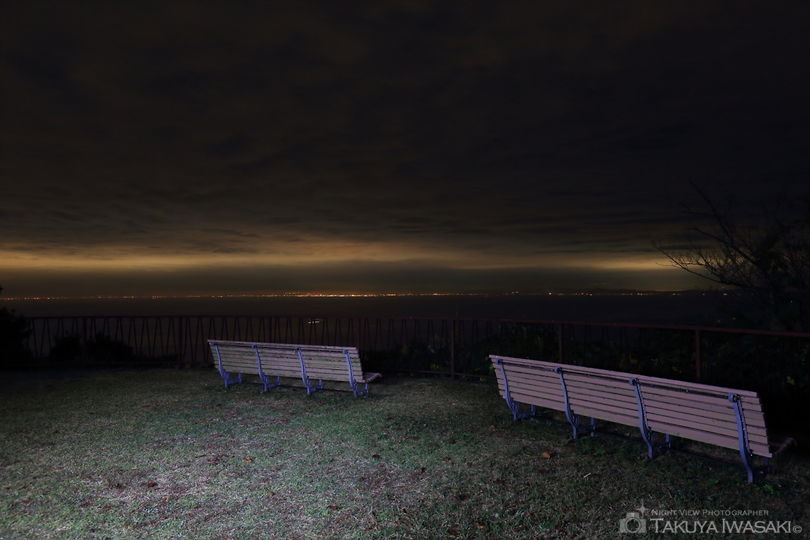 兵庫県立淡路島公園  展望広場の夜景スポット写真（3）
