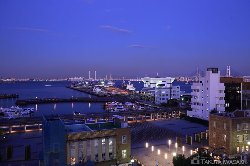 神奈川県庁 屋上展望台の夜景スポット写真（1）