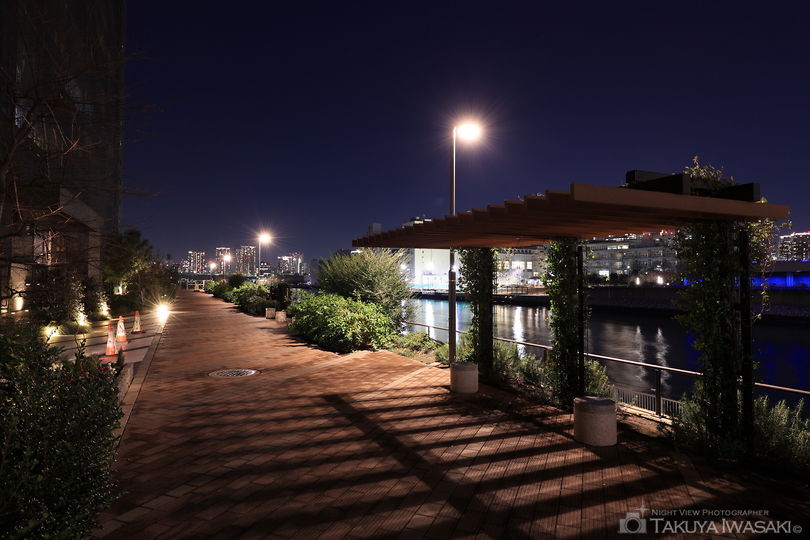 朝潮運河親水公園の夜景スポット写真（5）