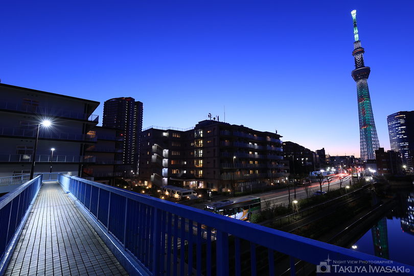 柳島歩道橋の夜景スポット写真（3）