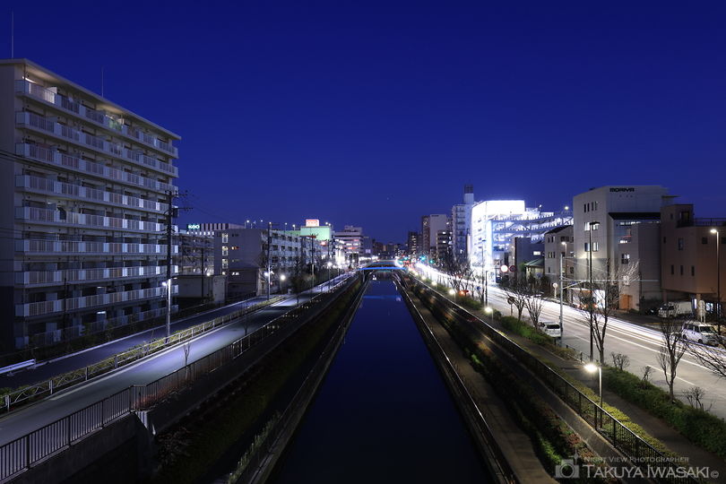 柳島歩道橋の夜景スポット写真（4）