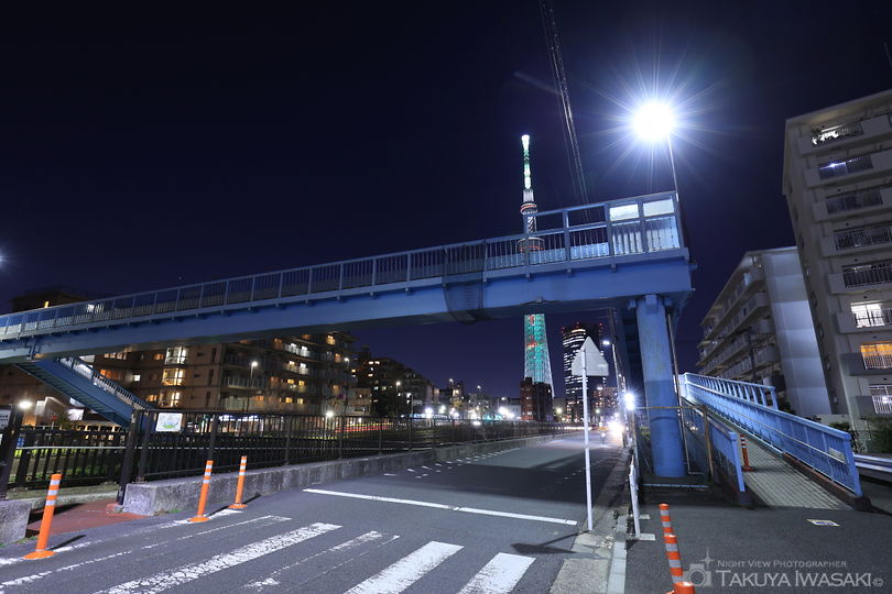柳島歩道橋の夜景スポット写真（5）