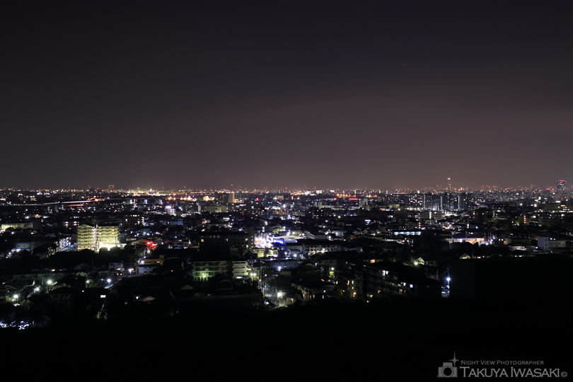 観音寺展望台の夜景スポット写真（1）