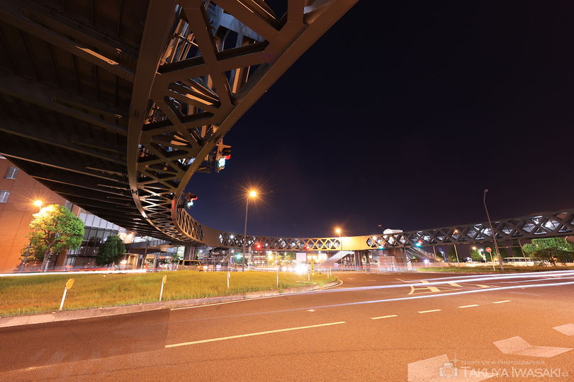 新港サークルウォークの夜景スポット写真（6）