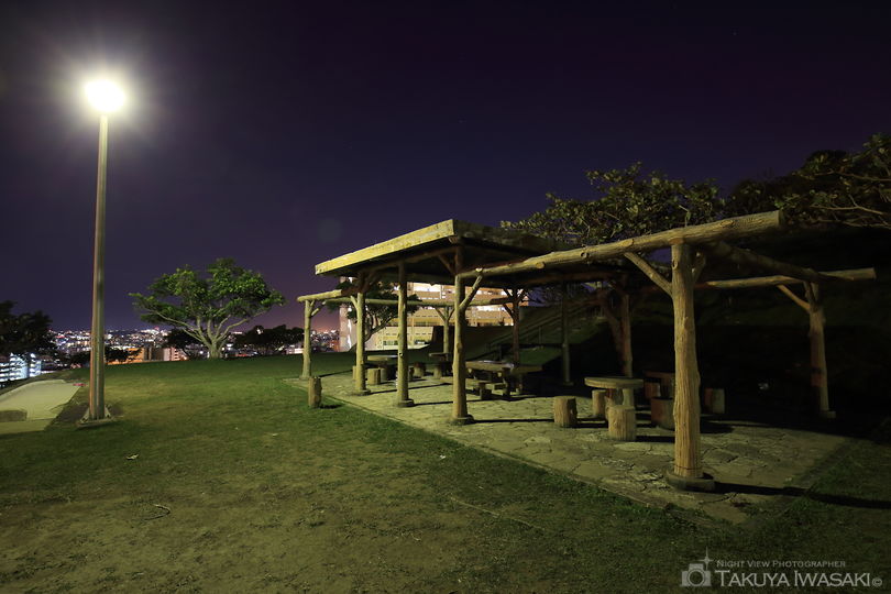 大石公園の夜景スポット写真（4）