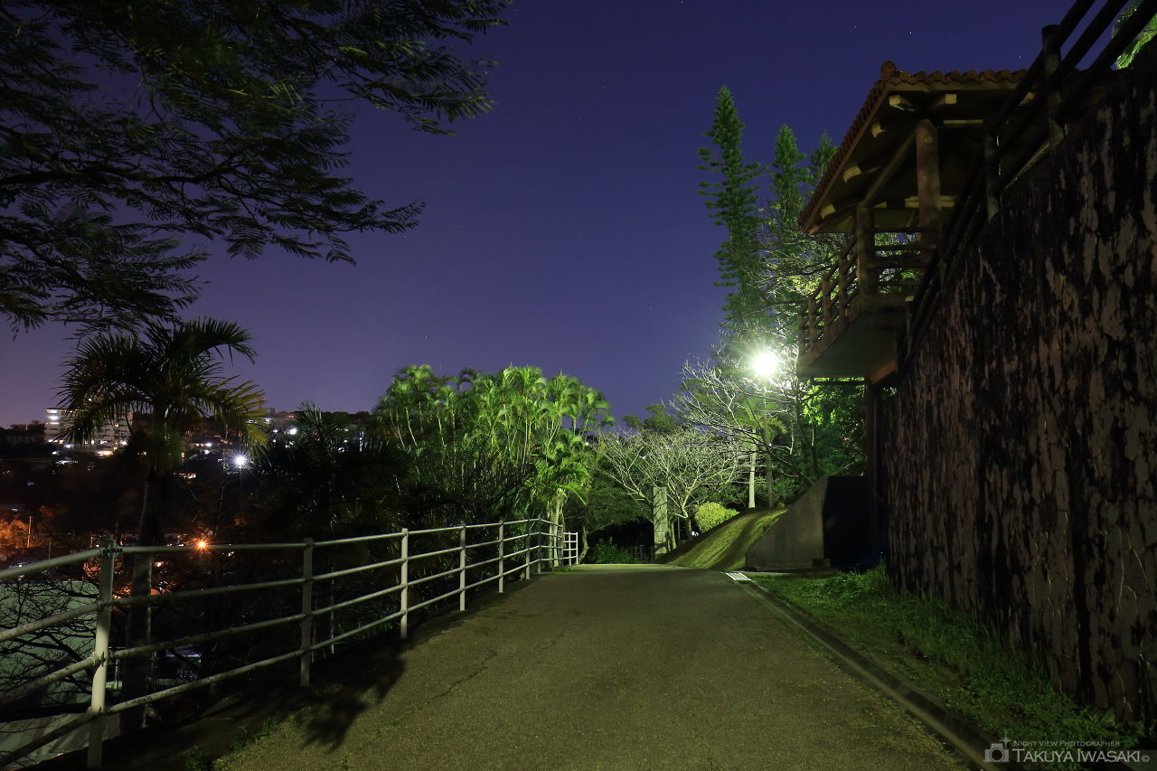 繁多川公園の夜景スポット写真（3）
