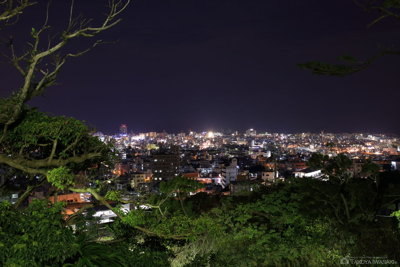 虎瀬公園の夜景スポット写真（2）