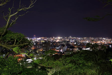 虎瀬公園の夜景スポット写真（2）class=