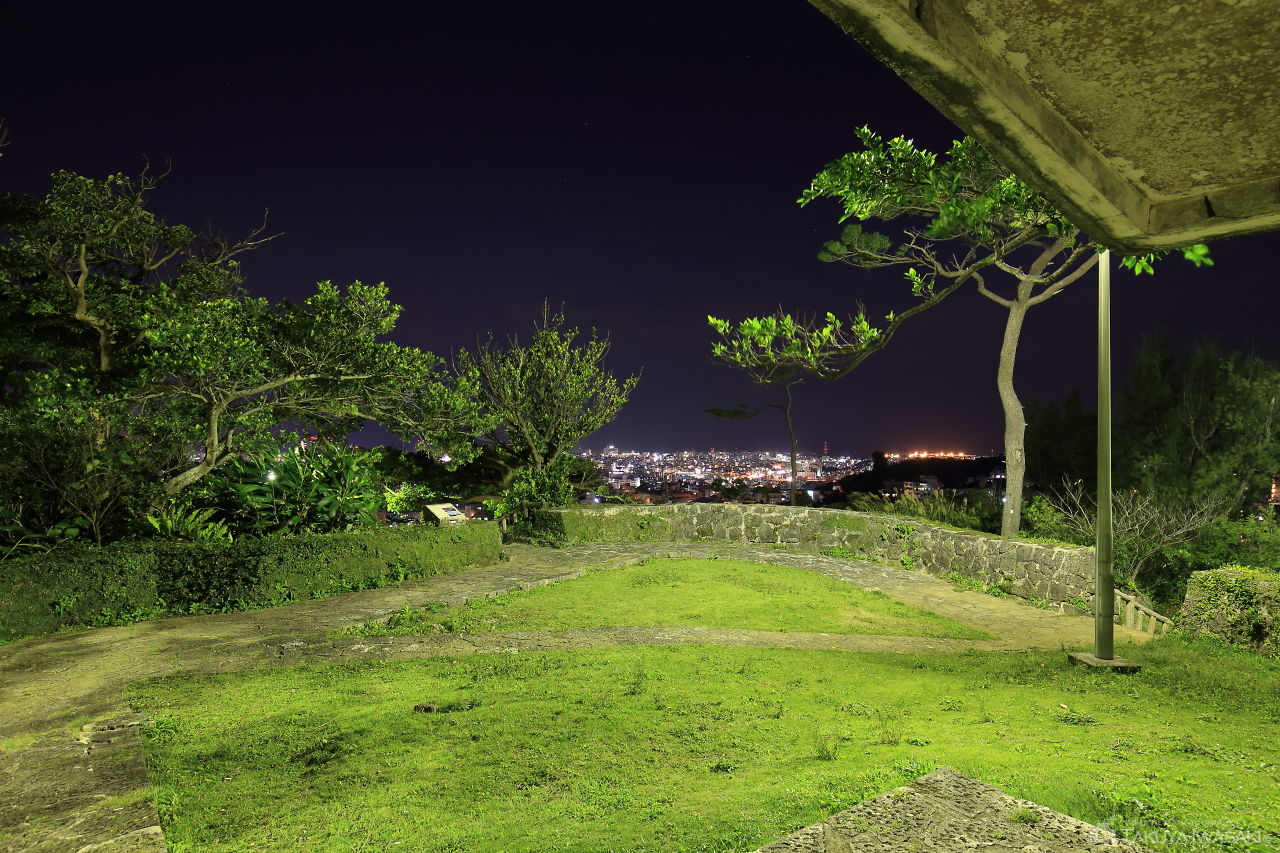 虎瀬公園の夜景スポット写真（4）