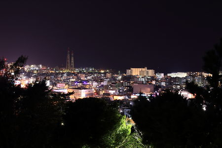 森川公園の夜景スポット写真（1）class=