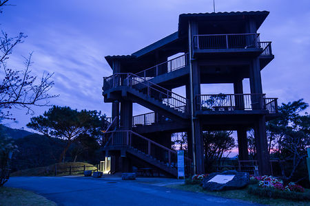 名護中央公園　天上展望台の夜景スポット写真（3）class=