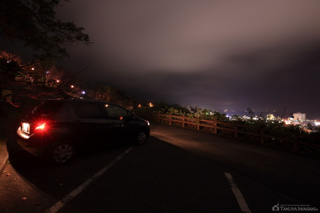 名護中央公園　ノッポ椰子の広場の夜景スポット写真（3）