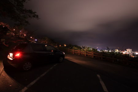 名護中央公園　ノッポ椰子の広場の夜景スポット写真（3）class=