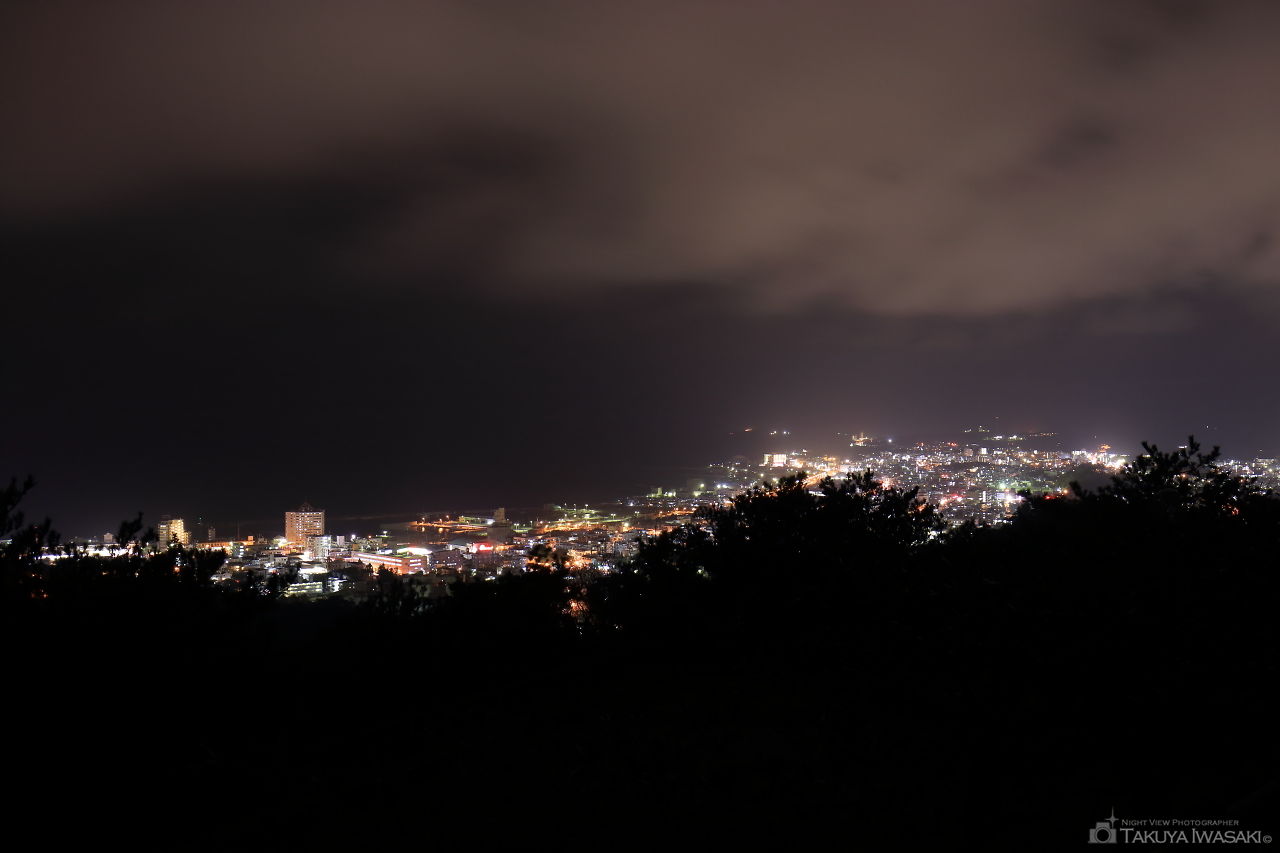 名護中央公園　南展望台の夜景スポット写真（1）
