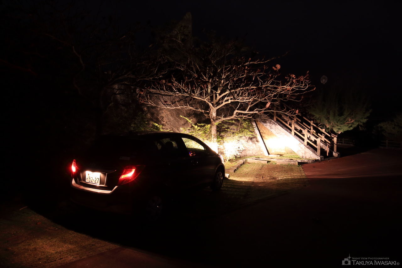 名護中央公園　南展望台の夜景スポット写真（4）