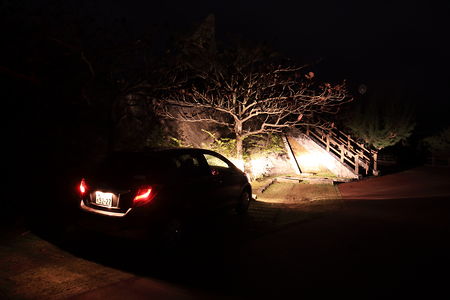 名護中央公園　南展望台の夜景スポット写真（4）class=