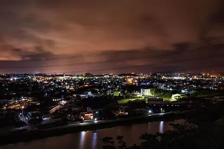 野鳥の森自然公園の夜景