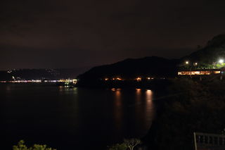 錦崎庭園の夜景スポット写真（3）class=